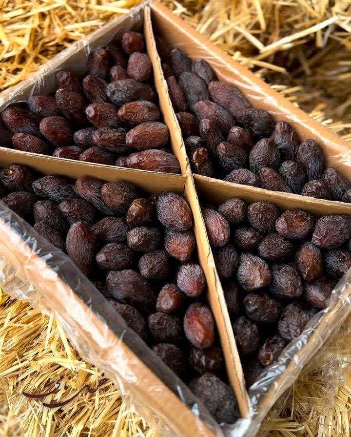 خرمای مجول مراکشی