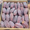 خرمای مجول مراکشی