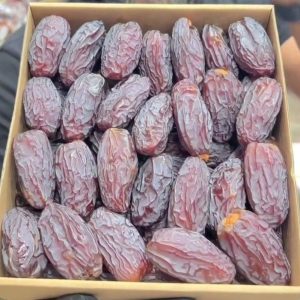 خرمای مجول مراکشی