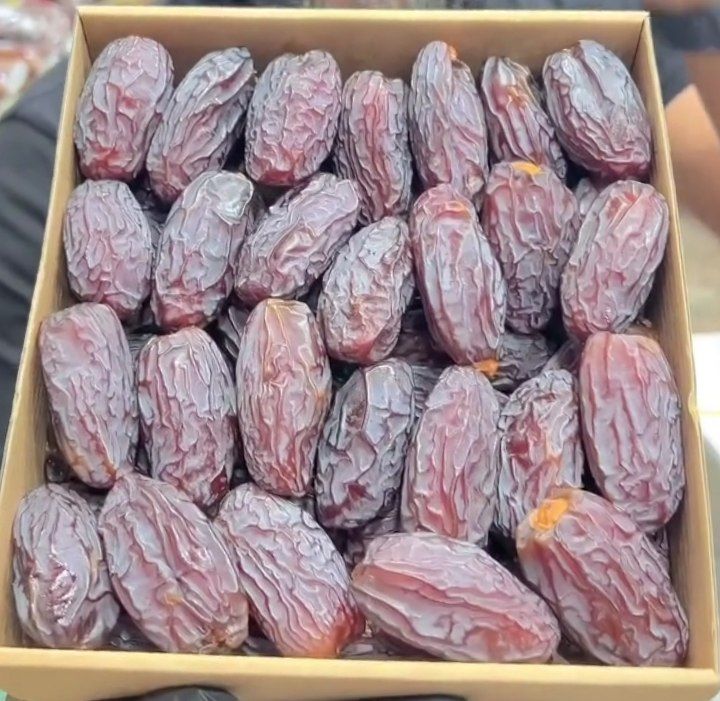 خرمای مجول مراکشی