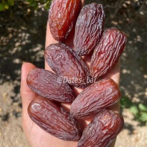 خرمای مجول مراکشی